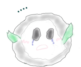 260071725