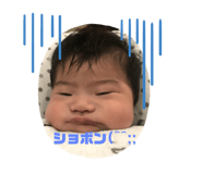 260134383