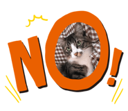 260134621