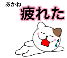 26018530