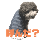 260191652