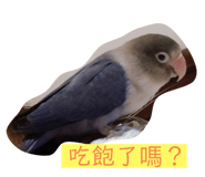 260227083