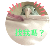260227084