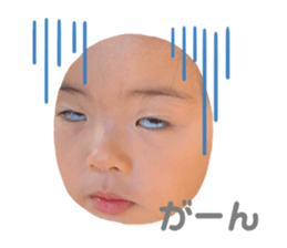 260232672