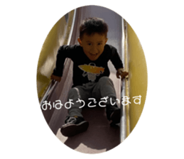 260291303