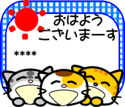260305675