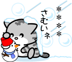 260305686