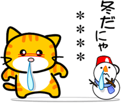 260305687