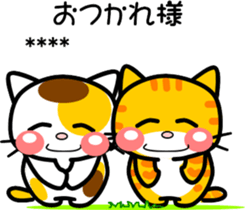 260305700