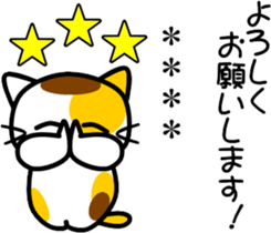 260305704