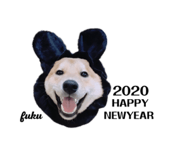 260306930