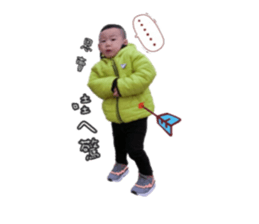 26031244