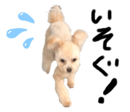 260327573
