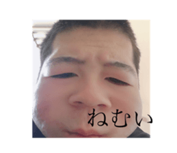 260356512