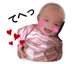 260360010