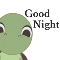 260401562