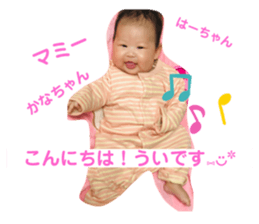 260523808