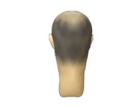 260525431