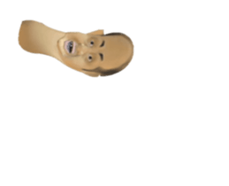 260525436