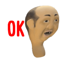 260525437