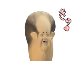 260525439
