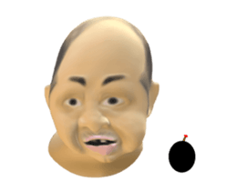 260525446