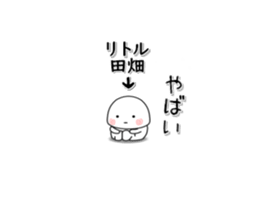 260525494