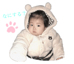 260636792