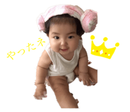 260636797