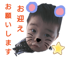 260638993