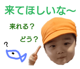 260638998