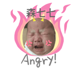 260639337