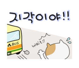 2606404