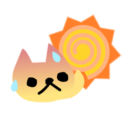 2607204