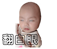 260849824