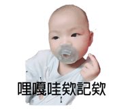 260849828