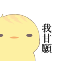 260850127
