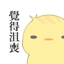 260850136