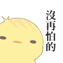 260850146