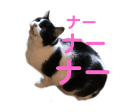 260895930