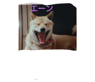 260921904