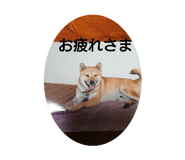 260921907