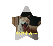 260921908