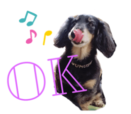 260940711