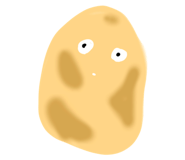 260942961