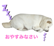 260947269