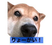 260947422