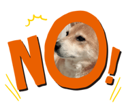 260947427