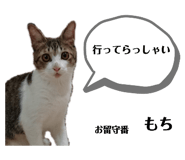 260950985