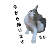 260950986